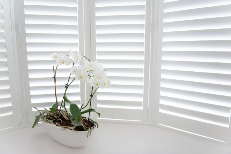 Shutters Installation in Richmond, VA